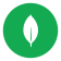 MongoDB